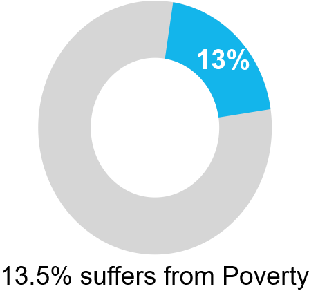 Circle Graph Showing percent of people suffering from mental illness